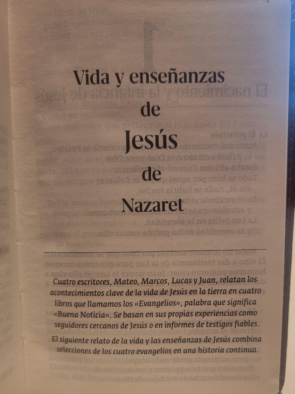 Bulk Lot-10 Leather Pocket Bible-SPANISH-Life & Teachings of Jesus of Nazareth